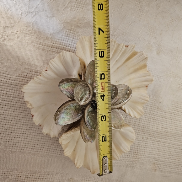 Vintage Real Shell Trincket holder Soap Dish Tropical Beach Decor MOP Bear Claw - Picture 3 of 7